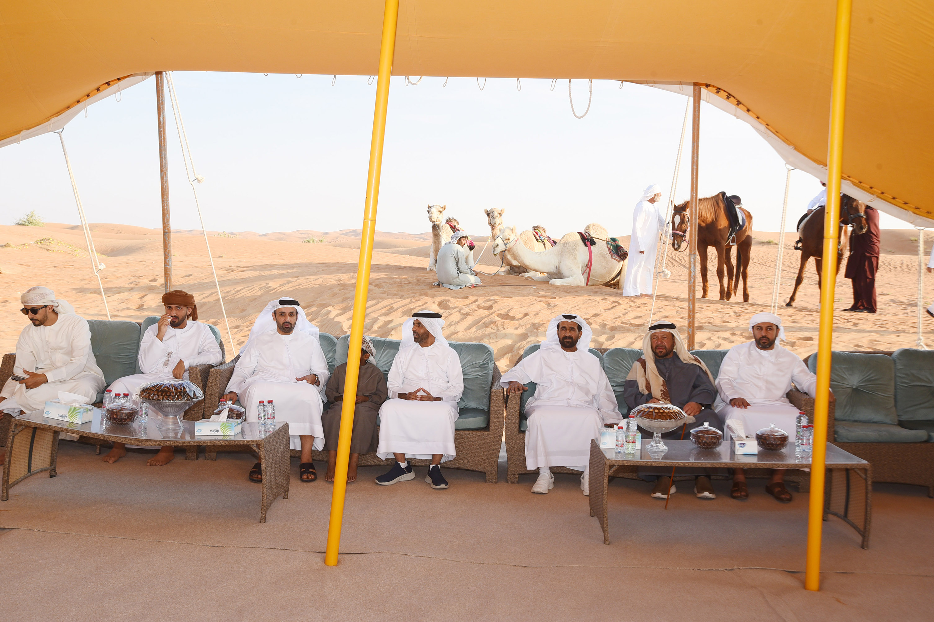المعرض
